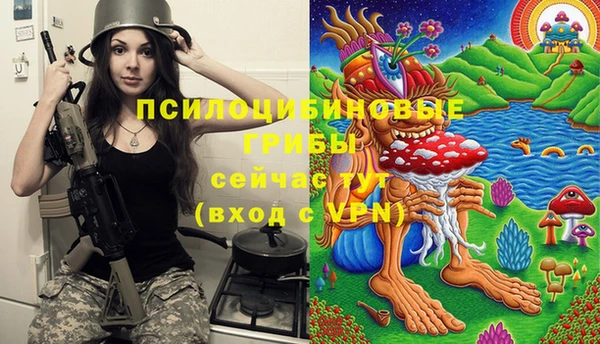 синтетический гашиш Алексин
